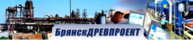 БрянскДревПроект ООО