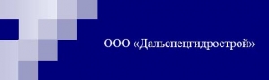 Дальспецгидрострой ООО