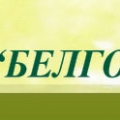 БелгородТИСИЗ ОАО Белгородский Трест Инженерно-Строительных Изысканий