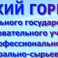 Воркутинский Горный Институт - Филиал ФГБОУ Национальный Минерально-Сырьевой Университет «Горный»