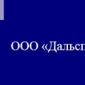 Дальспецгидрострой ООО