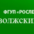 Поволжский Леспроект Филиал ФГУП Рослесинфорг