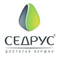 Седрус ООО